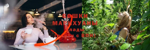 экстази Гусь-Хрустальный