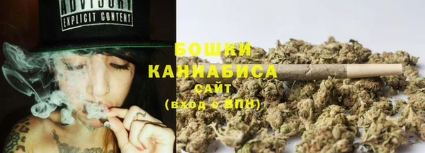 экстази Гусь-Хрустальный