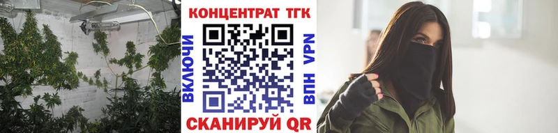 MEGA как зайти  магазин продажи   Евпатория  Дистиллят ТГК гашишное масло 