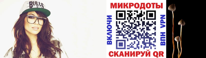 Галлюциногенные грибы Psilocybe  где можно купить наркотик  Евпатория 
